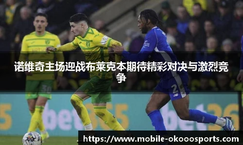 okooo澳客网官网